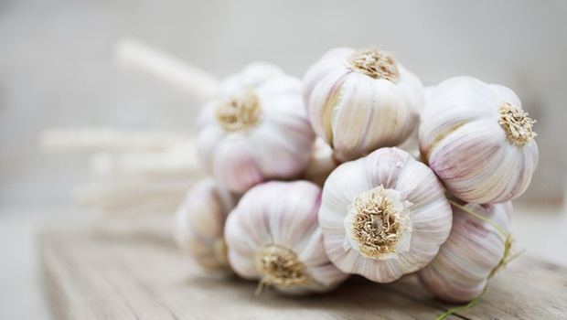how to stop heart disease - garlic