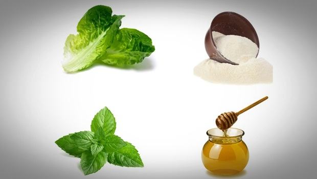 anti aging face mask - lettuce, white clay, honey and mint anti aging face mask