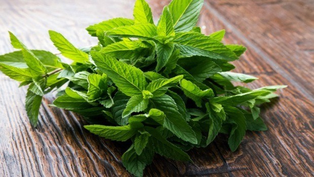 instant relief from acidity - spearmint