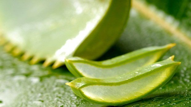 how to treat sprained ankle - aloe vera