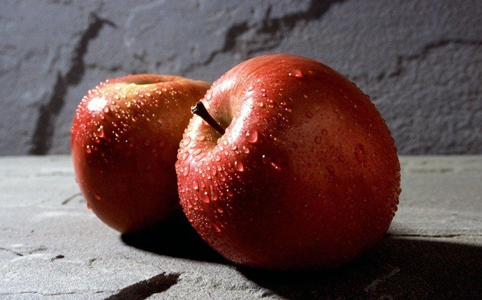 home remedies for sour stomach - apple