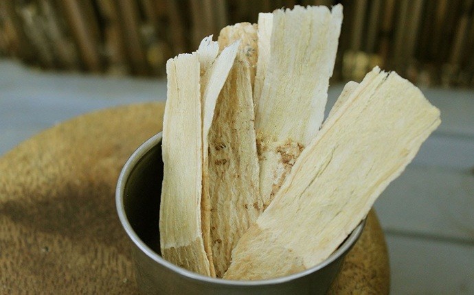how to get rid of runny nose - astragalus herb