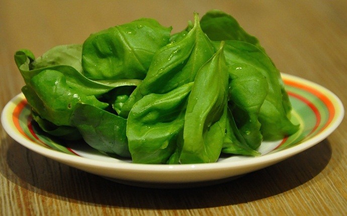 how to get rid of runny nose - basil