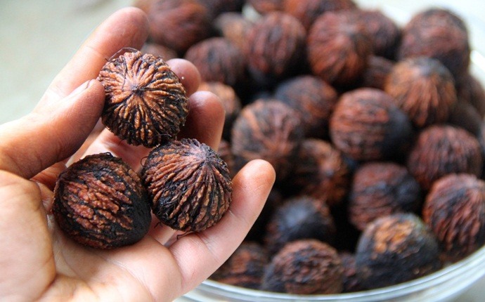 how to treat candida - black walnut