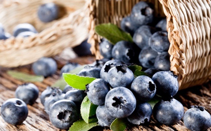how to treat high blood pressure - blueberry