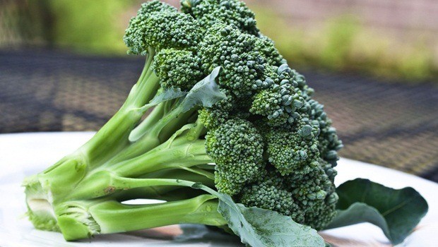 sources of vitamin e - broccoli
