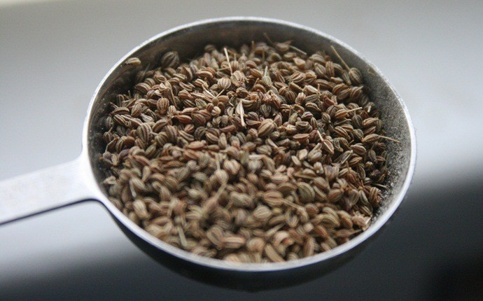 home remedies for sour stomach - carom seeds