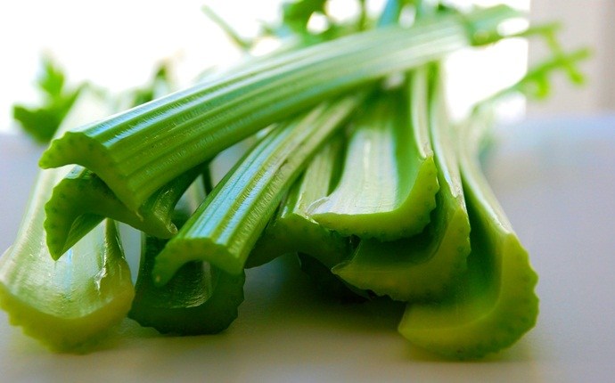 how to get rid of mouth ulcers - celery