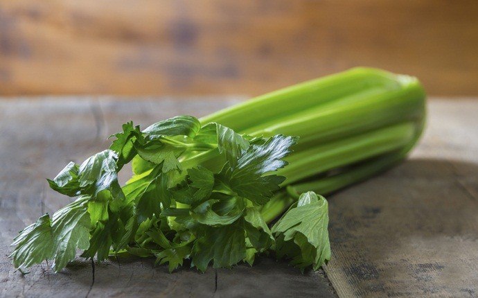 home remedies for sour stomach - celery leaves
