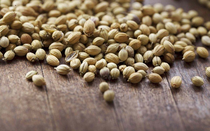 how to get rid of water retention - coriander seeds and water