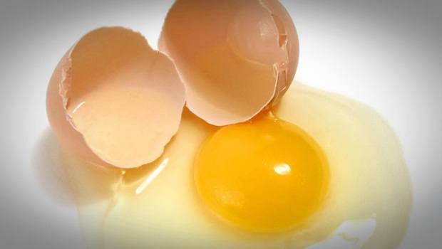 how to get rid of wrinkles - egg white, honey, olive oil, and milk