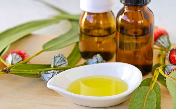 how to get rid of runny nose - eucalyptus oil