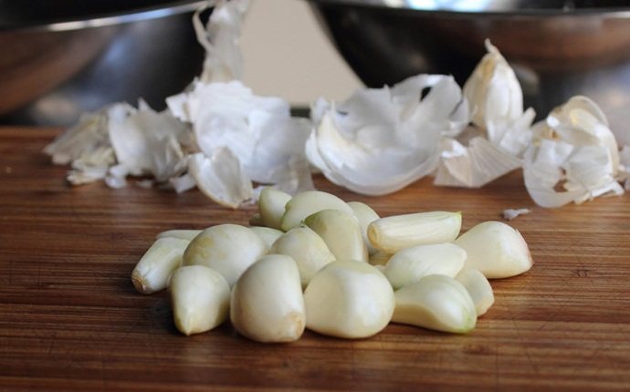 how to cure backache - garlic
