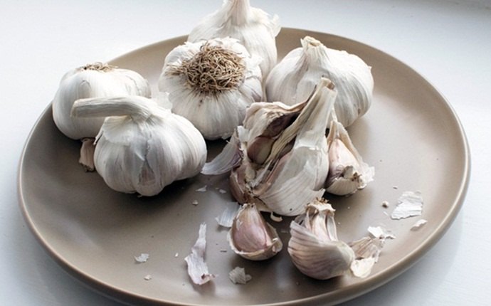 how to treat high blood pressure - garlic