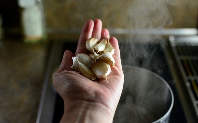 garlic for sinus infection - garlic steam