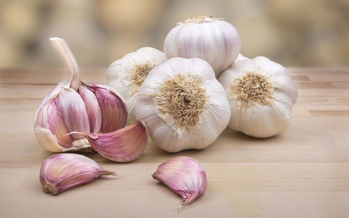 how to treat candida - garlic