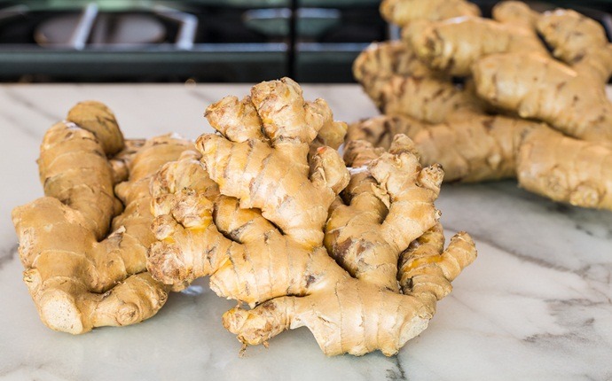 how to stop excessive burping - ginger
