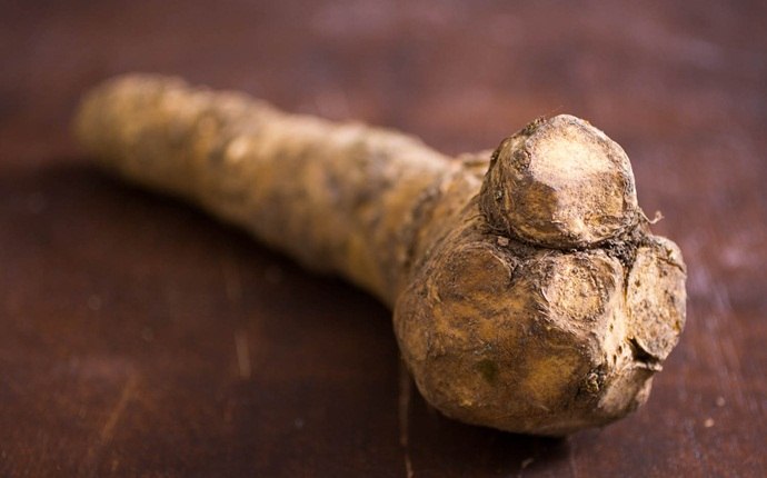 how to get rid of runny nose - horseradish
