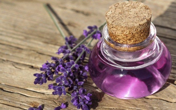 sleep disorders treatment - lavender oil