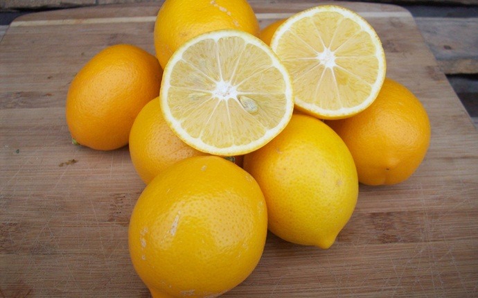 skin tightening face pack - lemon and olive oil face pack