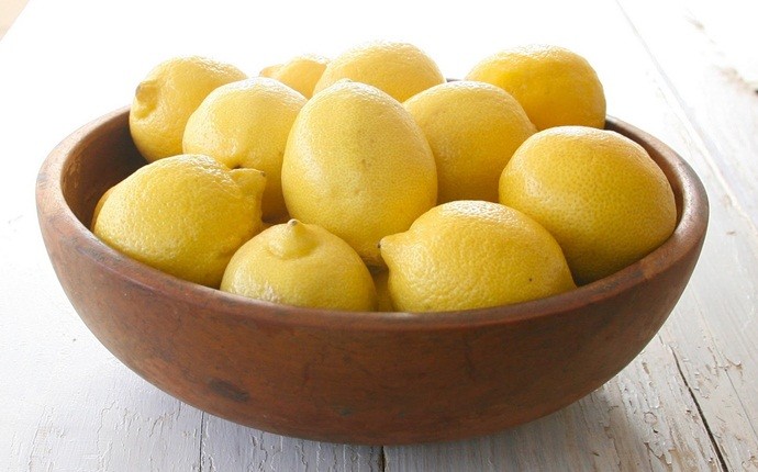 home remedies for sour stomach - lemon