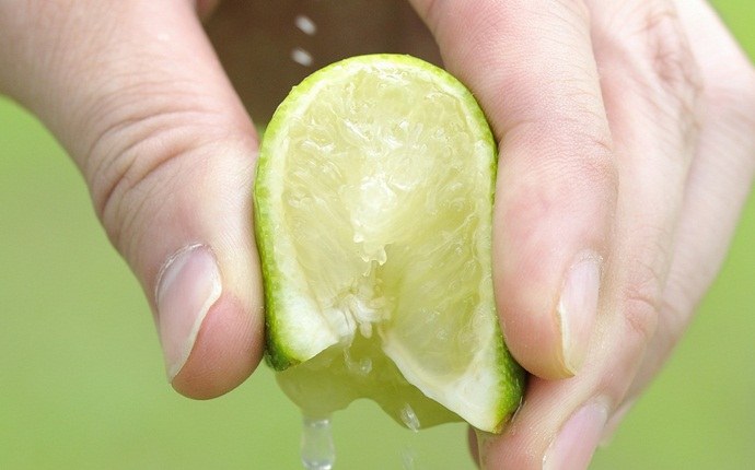 lemon for stretch marks - lime juice