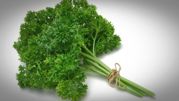 how to treat anemia - parsley, sandwiches, hot water, and honey