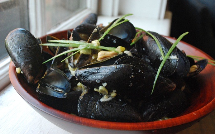 easy mussel recipes - steamed mussels in miso broth