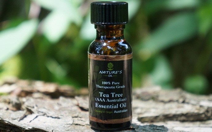 tea tree oil for ear infection - tea tree essential oil