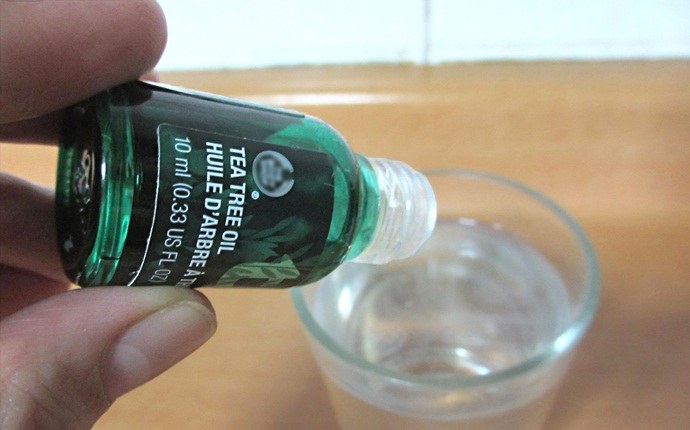 tea tree oil for scalp - tea tree oil for scalp eczema