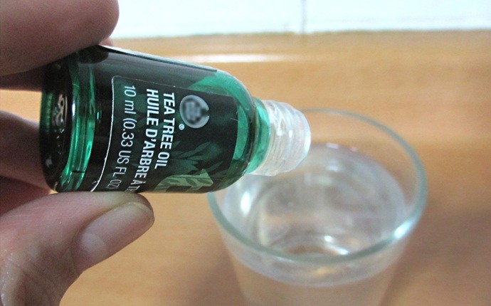 tea tree oil for ear infection - tea tree oil steam inhalation
