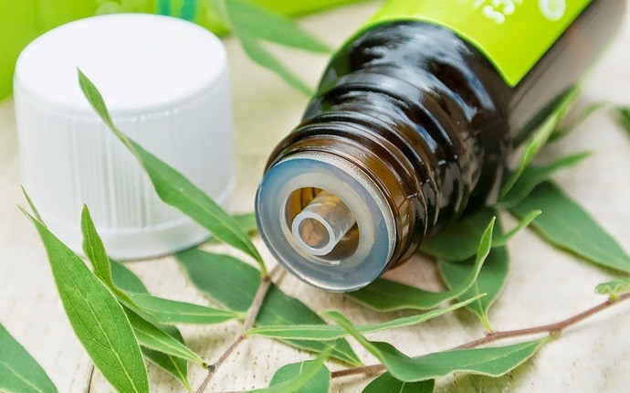 how to treat candida - tea tree oil