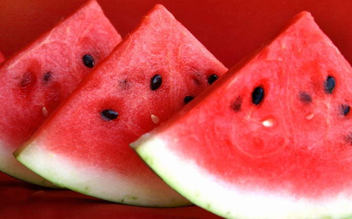 natural face toner - watermelon toner