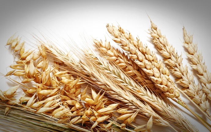 how to cure backache - wheat