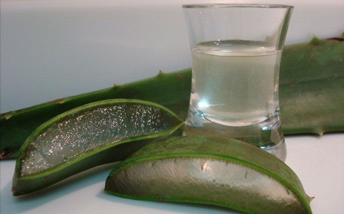 home remedies for sebaceous cyst - aloe vera