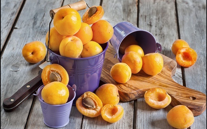 how to rejuvenate skin - apricot scrub