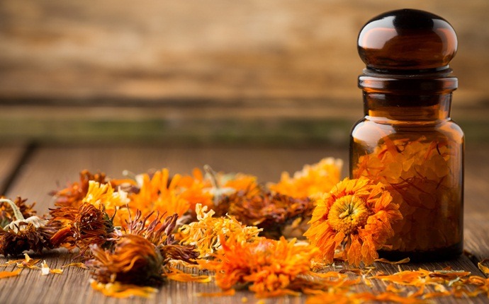 home remedies for chafing - calendula oil