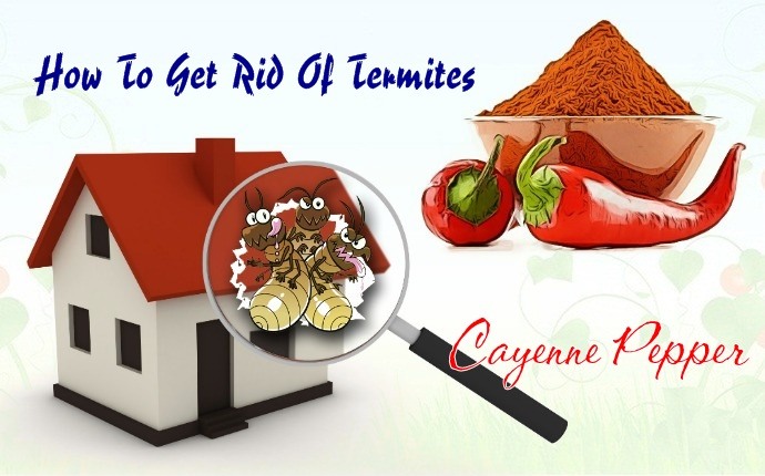 how to get rid of termites - cayenne pepper