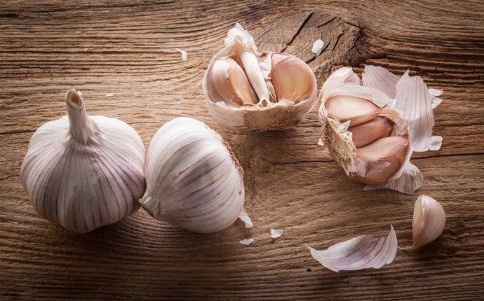 how to break a fever - garlic, olive oil, and hot water