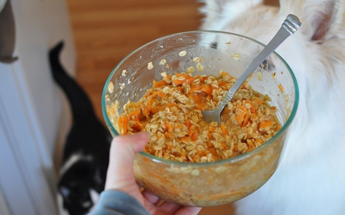 cat food recipes - homemade kibbles for cats
