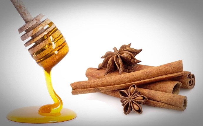 honey for acne scars - honey and cinnamon