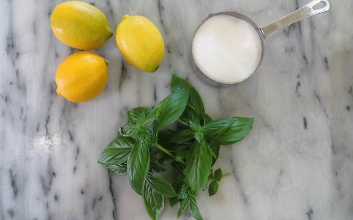 how to treat cough - lemon basil leaves
