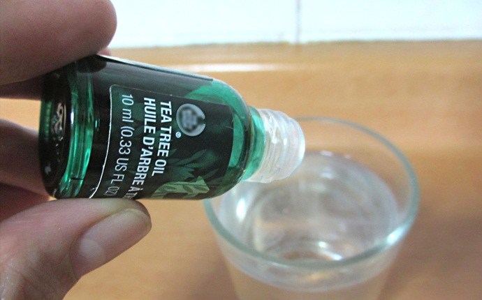 tea tree oil for acne - tea tree oil with water