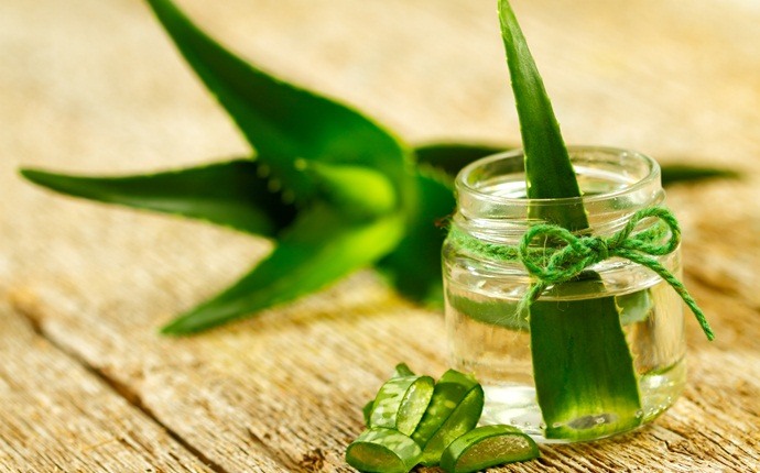 home remedies for whooping cough - aloe vera