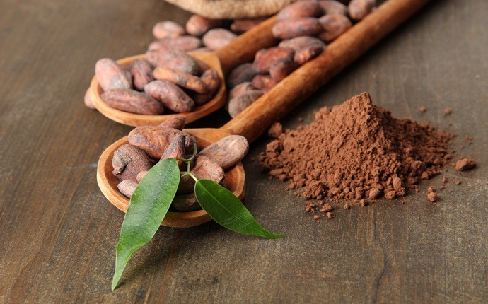 hair conditioning treatments - cocoa powder