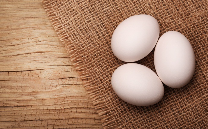hair conditioning treatments - egg