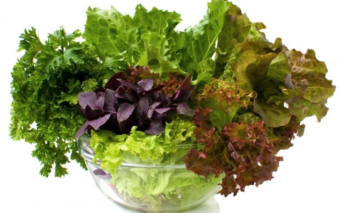 vitamin a foods for skin - green leafy veggies
