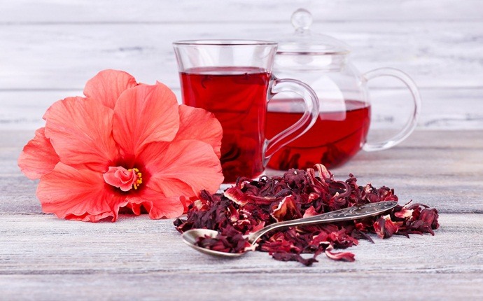 hair conditioning treatments - hibiscus