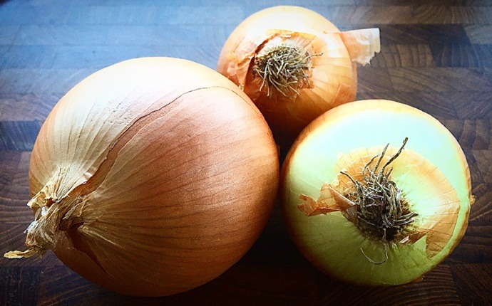 anti-inflammatory foods - onion