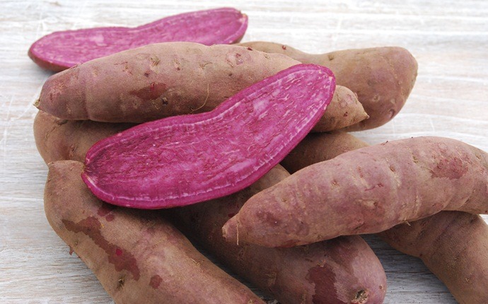 anti-inflammatory foods - purple sweet potato